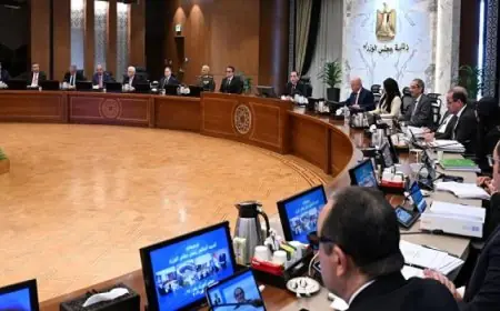مجلس الوزراء يمدد فترة التقديم لوحدات الإيجار البديل 3 أشهر ويوافق على قرارات جديدة