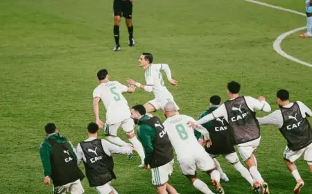 عادل بولبينة ولوكا زيدان يسجلان أرقاماً تاريخية مميزة في إنجاز فريد للجزائر