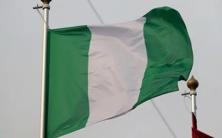 نيجيريا تعتمد على معلومات استخباراتية جوية من الولايات المتحدة لتعزيز ضرباتها ضد داعش