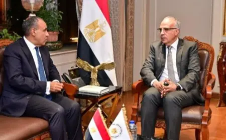 تعزيز العلاقات التاريخية مع دول حوض النيل محور نقاش بين وزارتي الخارجية والري