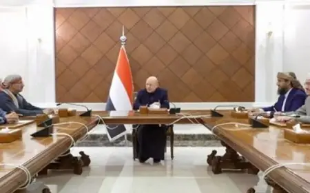 الرئاسة اليمنية تعفي وزيرين وتبدأ ملاحقة موزعي الأسلحة بعد هروب الزبيدي