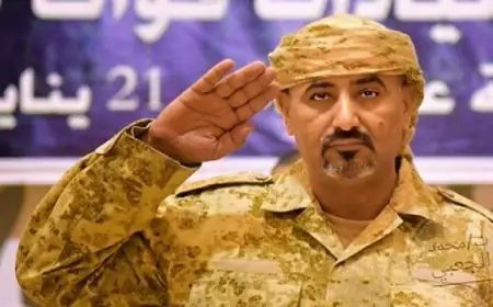 تحالف دعم الشرعية يكشف عن هروب عيدروس الزبيدي ويشن ضربات قوية على قواته في عدن