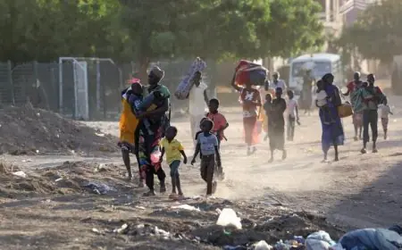 الأمم المتحدة تحذر من زيادة العنف في كردفان وتطالب بحماية المدنيين بشكل عاجل