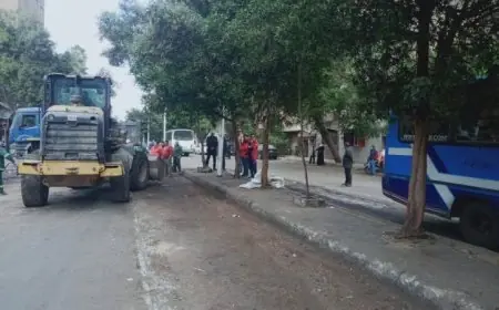 التنمية المحلية تعزز جاهزية احتفالات عيد الميلاد من خلال ربط غرف العمليات بالمحافظات