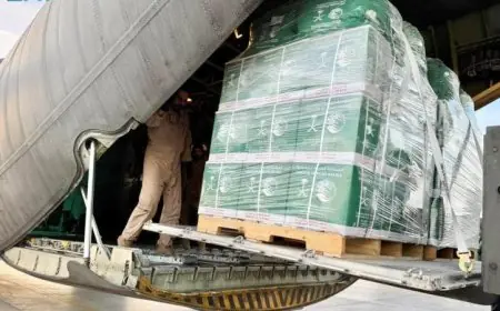 استقبال مطار العريش للطائرة الإغاثية السعودية الـ78 لدعم الشعب الفلسطيني في غزة