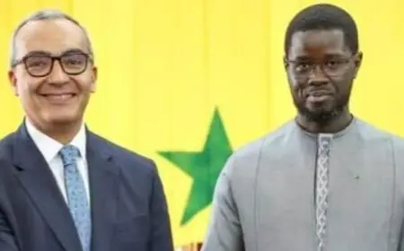 سفير مصر في دكار يعقد اجتماعاً مع رئيس السنغال لتعزيز العلاقات الثنائية