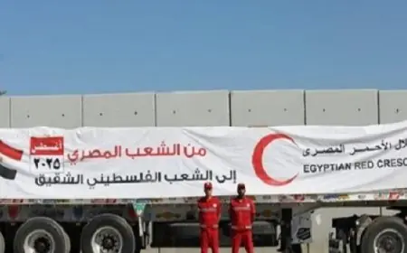 قافلة المساعدات الإنسانية زاد العزة 112 تصل إلى الفلسطينيين في قطاع غزة لتعزيز الأمل والدعم