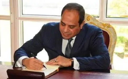 تعيين شريف خشبة نائبًا لرئيس مجلس إدارة الهيئة القومية للتأمينات والمعاشات بقرار جمهوري