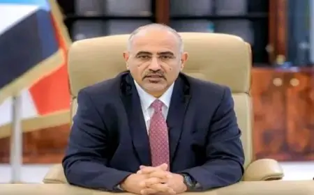 تحالف دعم الشرعية يكشف عن هروب الزبيدي إلى الإمارات وانسحاب قوات الانتقالي من عدن