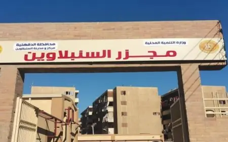 وزير قطاع الأعمال يشهد توقيع اتفاقية شراء الطاقة المتجددة لمدة 30 عامًا مع النهضة للصناعات