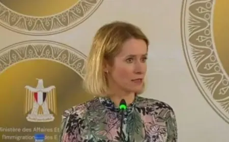 الممثلة العليا للاتحاد الأوروبي تؤكد أن مصر شريك أساسي لا يمكن الاستغناء عنه في التعاون الأوروبي