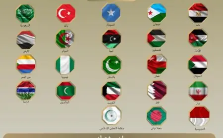 مصر ودول عربية تعبر عن إدانتها لزيارة مسؤول إسرائيلي إلى إقليم أرض الصومال