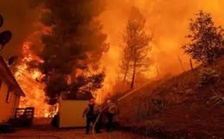 حرائق غابات تهدد غرب طوكيو والسكان يتلقون دعوات عاجلة للإخلاء