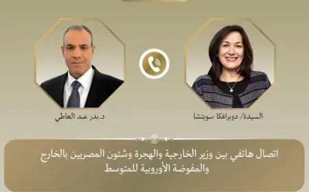 اتصال هاتفى هام بين وزير الخارجية ومفوضة الاتحاد الأوروبى للمتوسط لتعزيز التعاون
