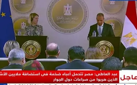 وزير الخارجية يبرز أهمية العلاقات المصرية الأوروبية خلال مؤتمر صحفي مع كايا كالاس