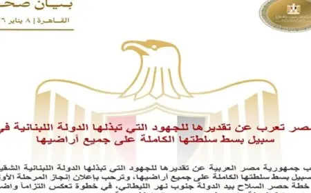 مصر تثمن جهود لبنان في تعزيز سيادته على كامل أراضيه