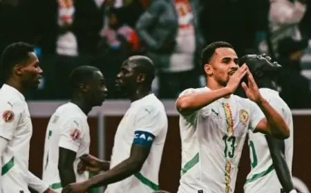 نداى ينقذ السنغال ويتأهل بها إلى نصف نهائي كأس أمم إفريقيا 2025 بعد الفوز على مالي فيديو