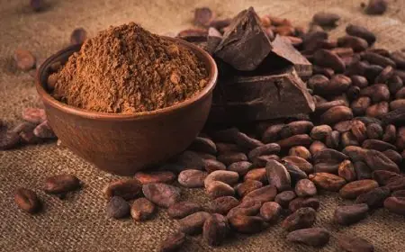 وزيرة التنمية المحلية تكشف عن بدء الموجة 28 لمكافحة التعديات على أراضي الدولة