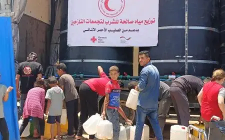 الصليب الأحمر الألماني يكشف عن تدهور مروع لأوضاع الإمدادات في قطاع غزة