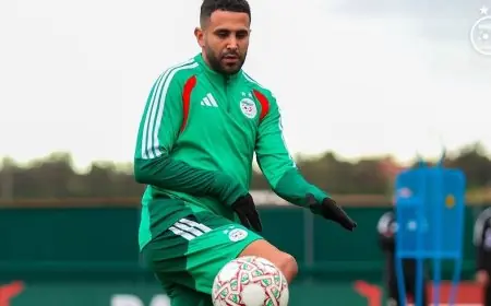 توقعات تشكيلة الجزائر لمواجهة نيجيريا في ربع نهائي كأس الأمم الإفريقية