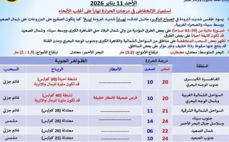 طقس الغد في القاهرة دافئ نهارا وبارد جدا ليلا مع عظمى 20 درجة مئوية بالصور
