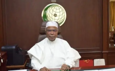 التعاون الإسلامي تحذر من انتهاك إسرائيل للقانون الدولي باعترافها بأرض الصومال