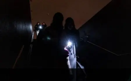 ألمانيا تنبه من خطر انقطاع الكهرباء الكبير في برلين ومدن أخرى