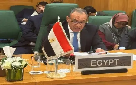 وزير الخارجية المصري يتحدث في الدورة الاستثنائية لمنظمة التعاون الإسلامي