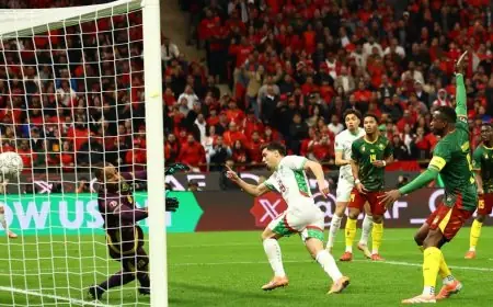 موعد مباراة نصف نهائي كأس أمم إفريقيا بين المغرب ونيجيريا والتفاصيل الكاملة