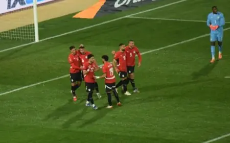 محمد صلاح يقترب من معادلة إنجاز حسام حسن في كأس إفريقيا ويفجر منافسة مع الشاذلي