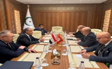 وزير الخارجية يؤكد حرصه على تعزيز العلاقات الثنائية مع تونس