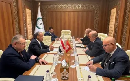وزير الخارجية يعرب عن الالتزام بتعزيز العلاقات الثنائية مع تونس