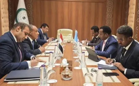 عبد العاطي يلتقي نظيره الصومالي لتعزيز وحدة وسيادة الصومال