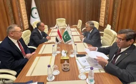 وزير الخارجية يعبر عن تطلعات لتعزيز العلاقات مع باكستان في جميع المجالات