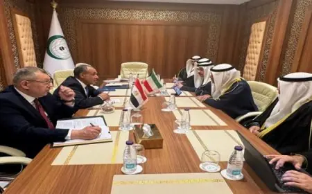 وزير الخارجية السعودي يلتقي نظيره الكويتي في الدورة الوزارية الاستثنائية لمنظمة التعاون الإسلامي