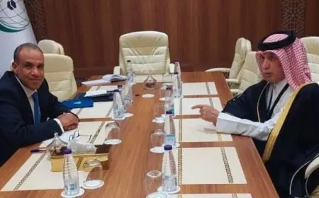 عبد العاطي ووزير الدولة القطري يعقدان محادثات لتعزيز العلاقات الثنائية بين البلدين