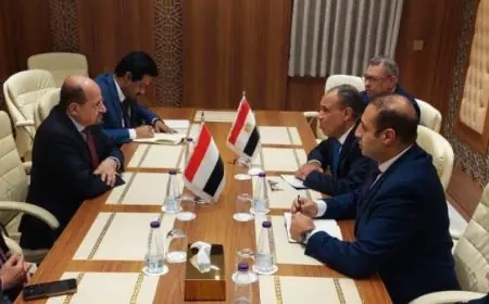 وزير الخارجية يؤكد دعم مصر القوي لوحدة اليمن في مواجهة التحديات