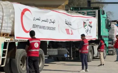 الهلال الأحمر المصري يستمر في تقديم المساعدات إلى غزة من خلال قافلة زاد العزة 113