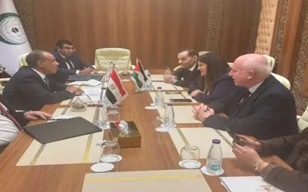 وزير الخارجية يعقد لقاءً هاماً مع نظيرته الفلسطينية خلال الدورة الوزارية الاستثنائية لمنظمة التعاون الإسلامي
