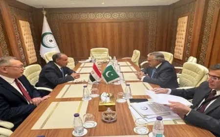 وزير الخارجية يعقد اجتماعاً مع نظيره الباكستاني لتعزيز العلاقات الثنائية ومناقشة التطورات الإقليمية