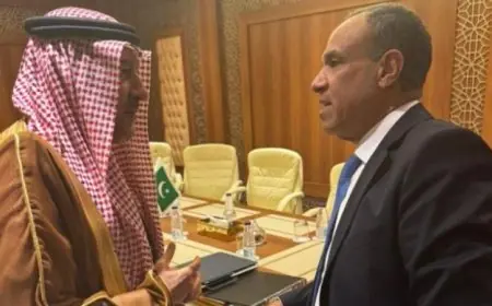 وزير الخارجية المصري يعلن استمرار التنسيق مع السعودية لتعزيز أمن واستقرار المنطقة