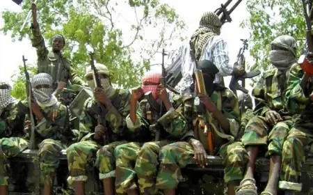 المقاومة الصومالية تحقق انتصارات كبيرة ضد مليشيات الخوارج في محافظة هيران