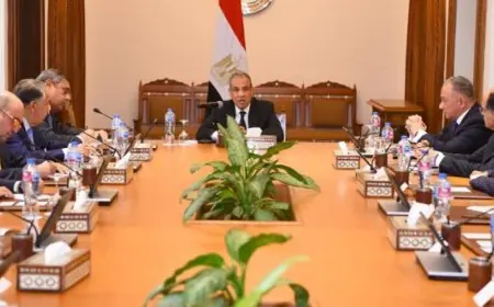 عبد العاطي يبرز أهمية القطاع الخاص في تعزيز الشراكات الاقتصادية مع إفريقيا