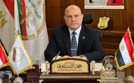 النيابة الإدارية تبدأ تحقيقاتها في حادث سقوط طالب من الطابق العلوي بمدرسة في أسيوط