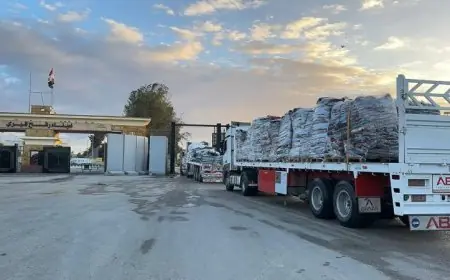 قافلة زاد العزة 114 تصل إلى غزة لتقديم الدعم للفلسطينيين