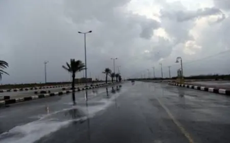 طقس اليوم في القاهرة مائل للدفء نهاراً وشديد البرودة ليلاً مع تسجيل أدنى درجة حرارة 11 درجة