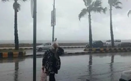 الأرصاد الجوية تكشف عن طقس اليوم الدافئ نهاراً والشديد البرودة ليلاً مع تسجيل 11 درجة للصغرى في القاهرة