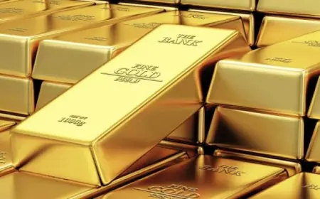 الذهب يسجل أرقاماً قياسية جديدة مع ارتفاع التوقعات بشأن خفض أسعار الفائدة