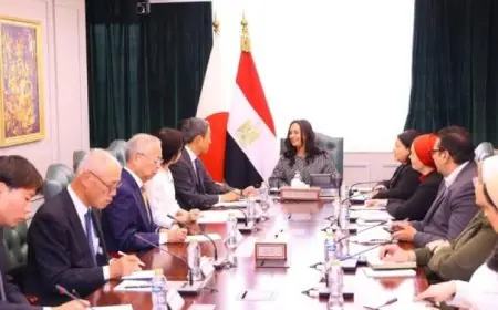 وزيرة التضامن الاجتماعي تلتقي وفدًا يابانيًا من أعضاء مجلس المستشارين لتعزيز التعاون الثنائي