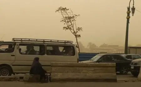 إرشادات هامة للقيادة الآمنة خلال العاصفة وارتفاع كثافات المرور على الطرق